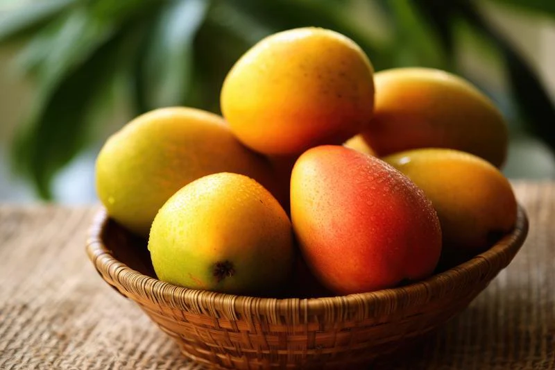 Julie Jamaican Mangoes - Image 2